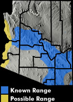 Lowland Leopard Frog (Rana yavapaiensis) Arizona Range Map
